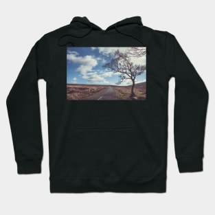 Wicklow Mountains Hoodie